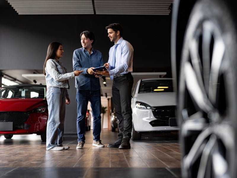 Salesperson working with customer